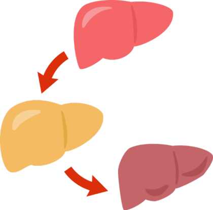 脂肪肝とは